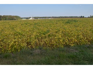 Property photo 56 - REAL ESTATE AUCTION - 604+/- ACRES IN 14 TRACTS IN MERCER CO., OHIO